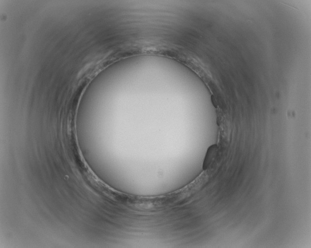 X0000083050740200702231955