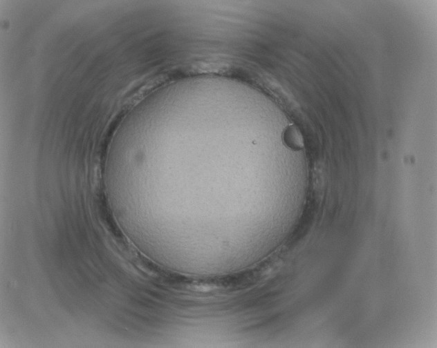 X0000083050741200702231955