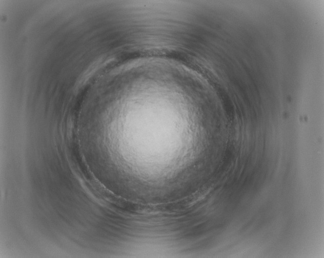 X0000083050742200702231955