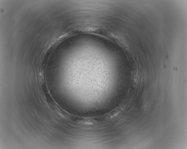 X0000083050743200702231955