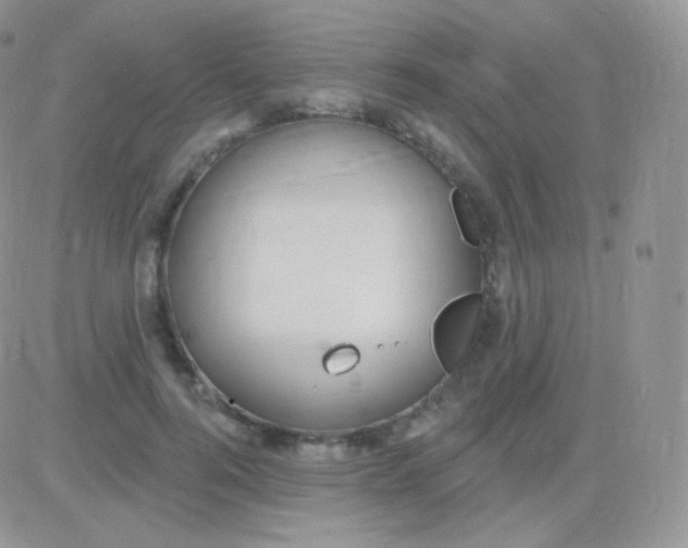 X0000083050744200702231955