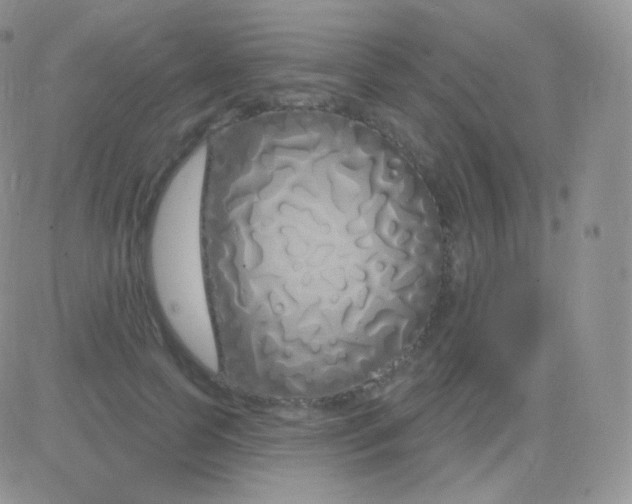 X0000083050745200702231955