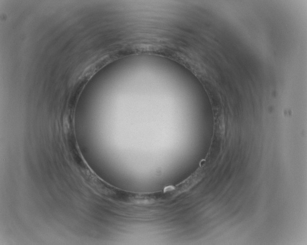 X0000083050746200702231955