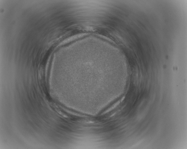 X0000083050747200702231955