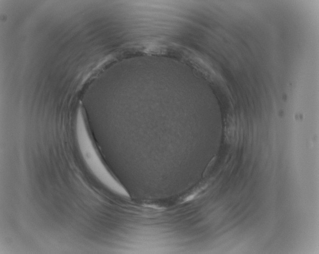 X0000083050748200702231955