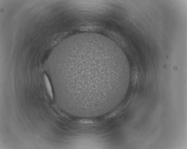 X0000083050749200702231955