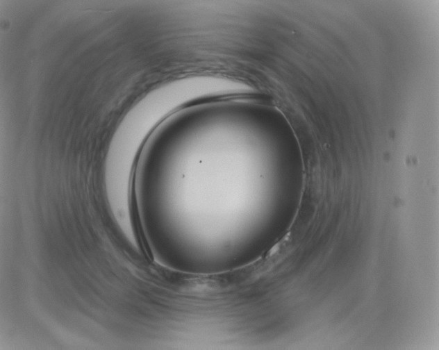 X0000083050750200702231955