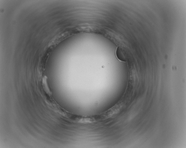 X0000083050751200702231955