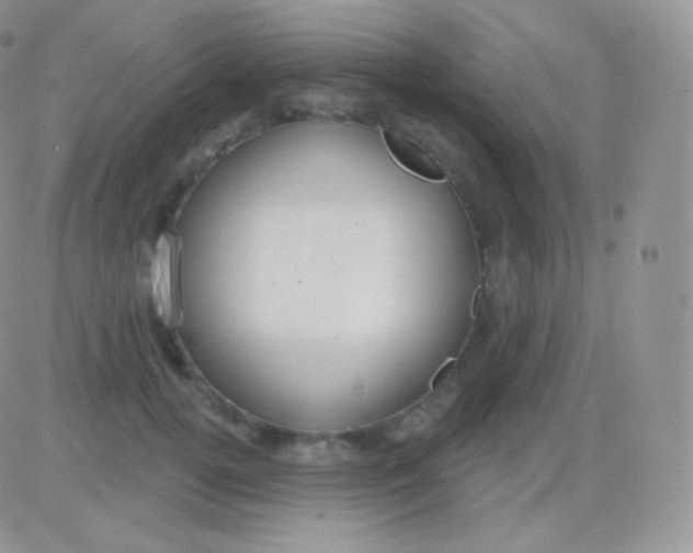 X0000083050752200702231955