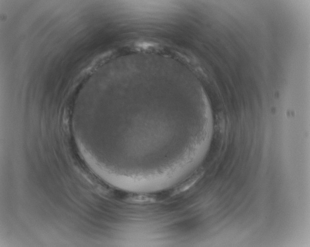 X0000083050754200702231955