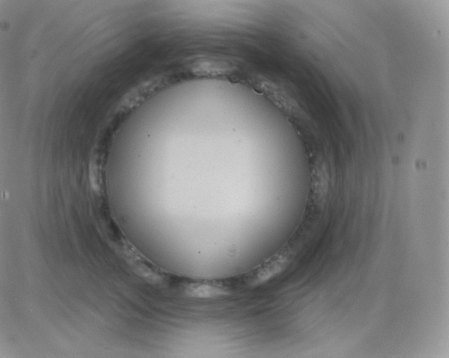 X0000083050755200702231955