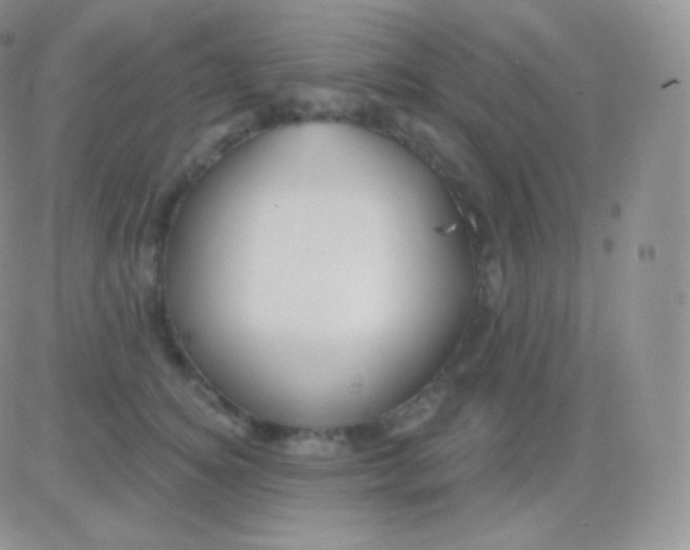 X0000083050756200702231955