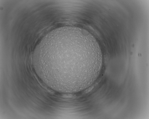 X0000083050757200702231955