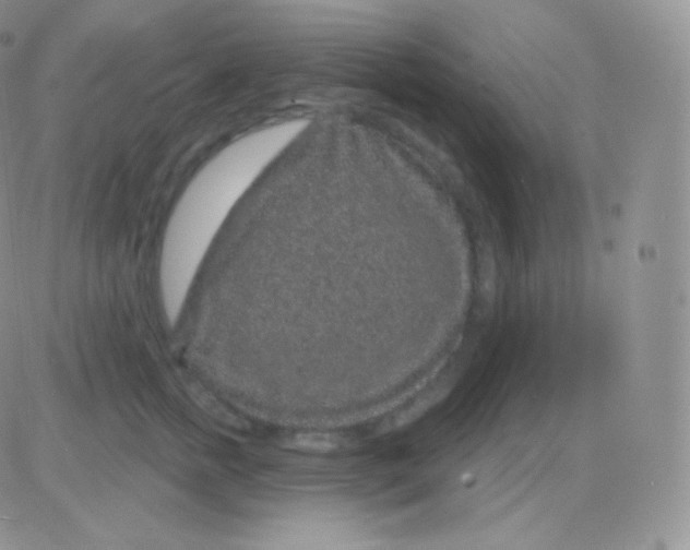 X0000083050758200702231955