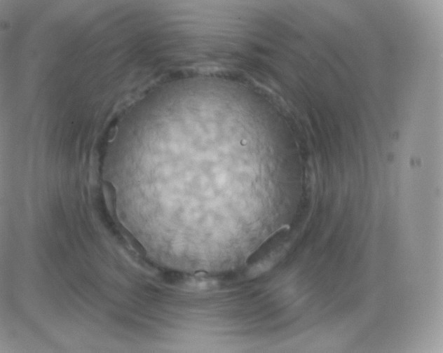 X0000083050760200702231955