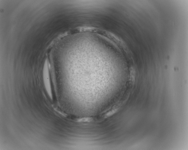 X0000083050761200702231955