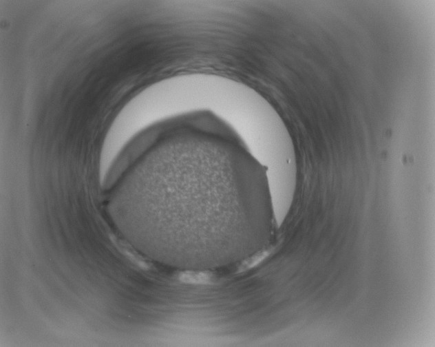 X0000083050762200702231955