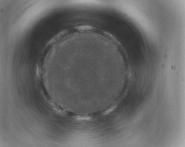 X0000083050763200702231955