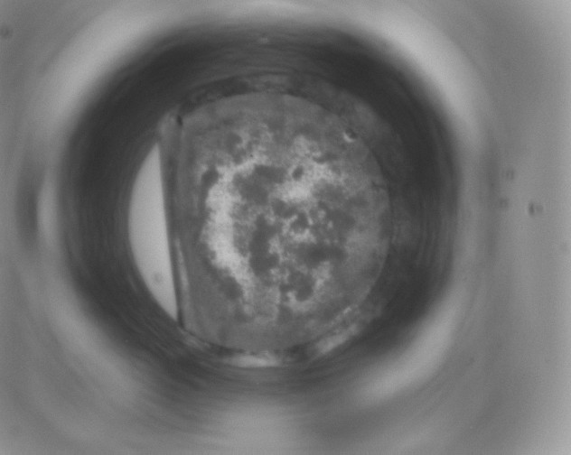 X0000083050765200702231955