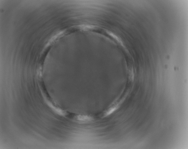 X0000083050766200702231955