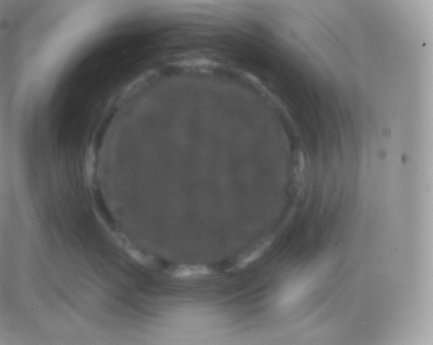 X0000083050767200702231955