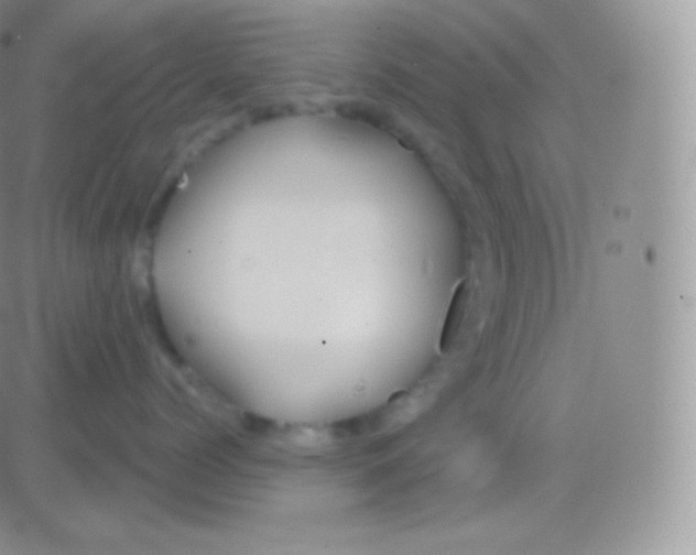 X0000083050768200702231955