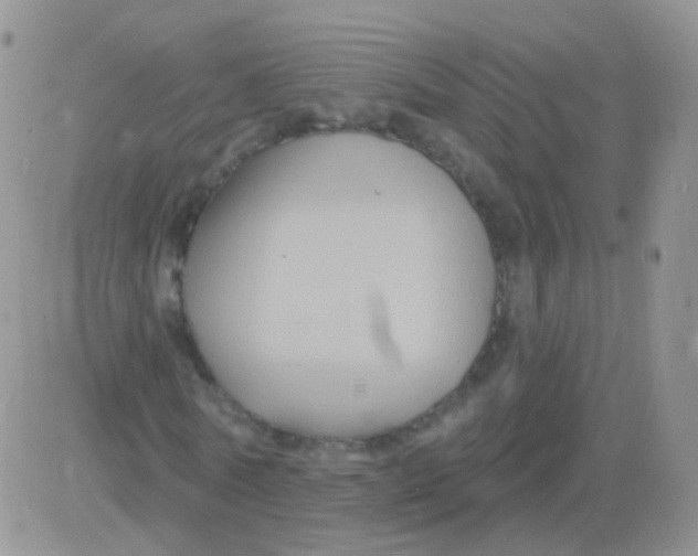 X0000083050770200702231954