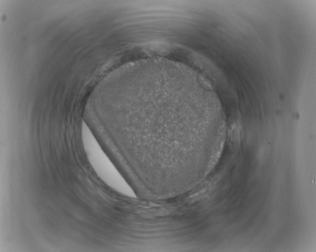 X0000083050772200702231954