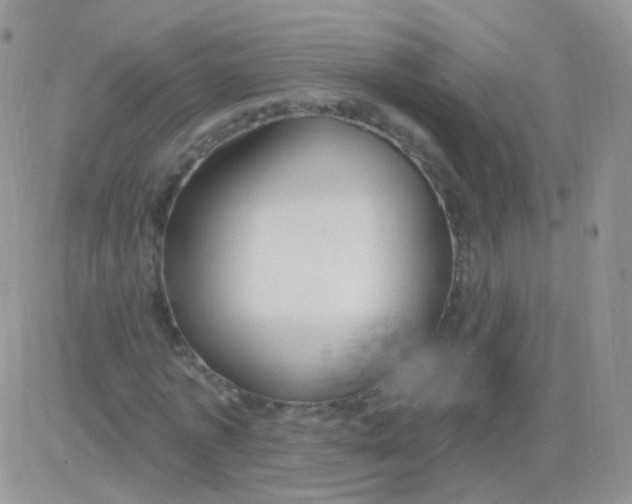 X0000083050773200702231954