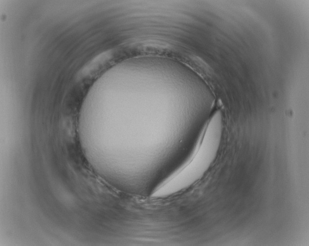 X0000083050774200702231954