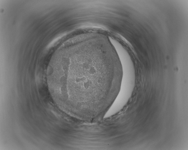 X0000083050775200702231954