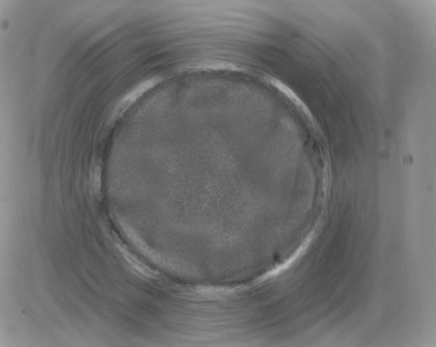 X0000083050777200702231954