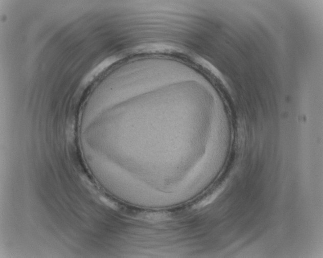 X0000083050778200702231954