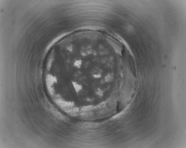 X0000083050779200702231954