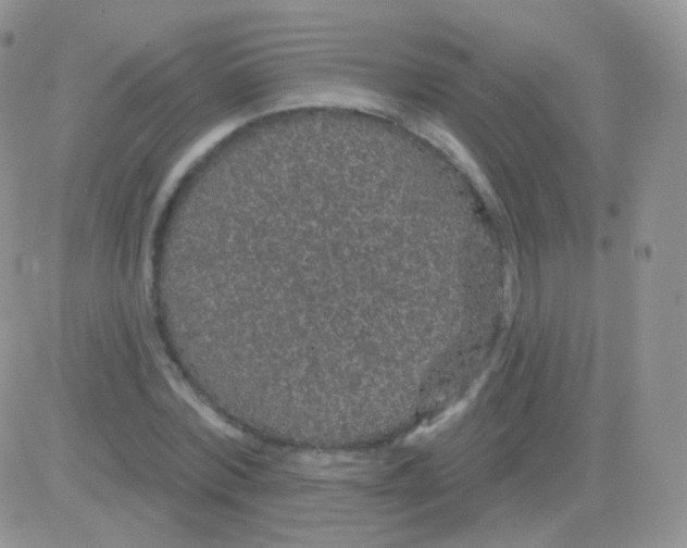 X0000083050780200702231954