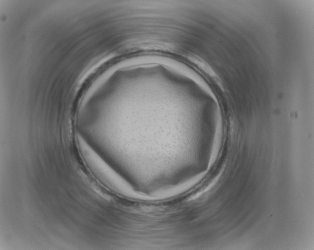 X0000083050782200702231954