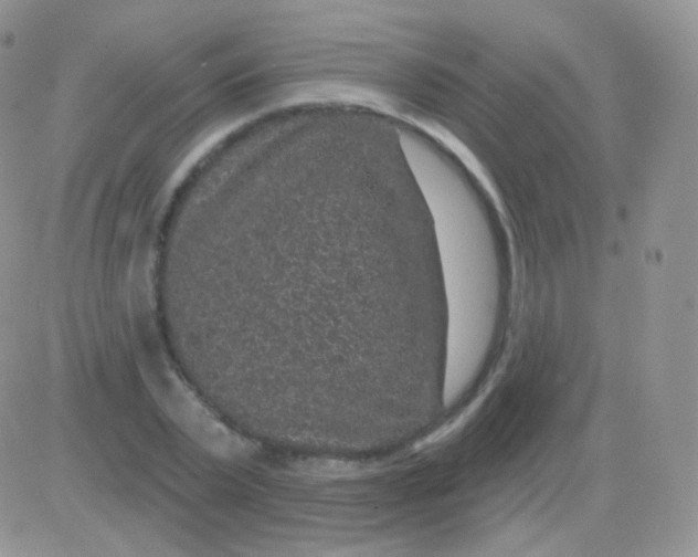 X0000083050783200702231954