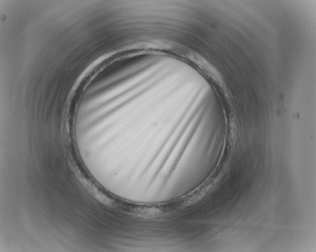 X0000083050784200702231954