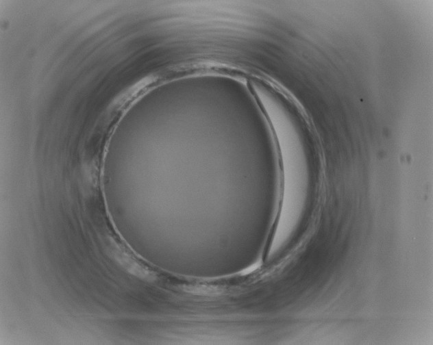 X0000083050785200702231954