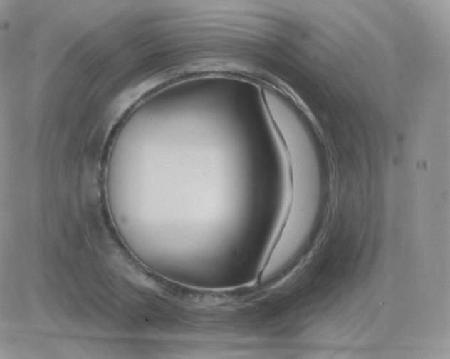 X0000083050786200702231954