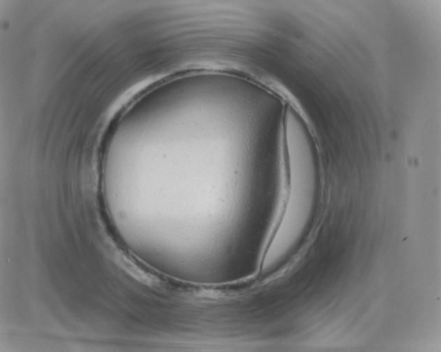 X0000083050787200702231954