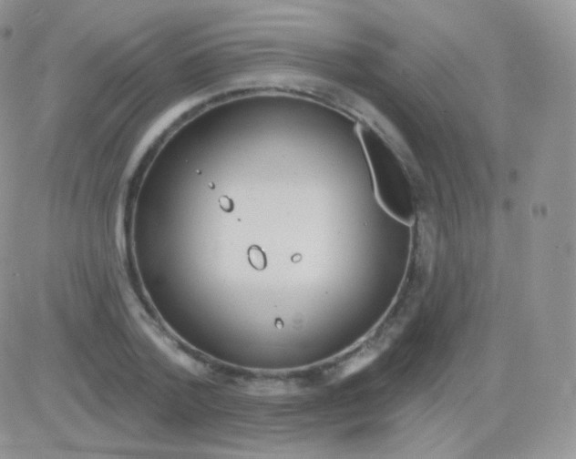 X0000083050788200702231954