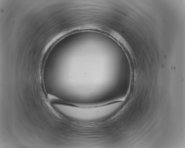 X0000083050789200702231954