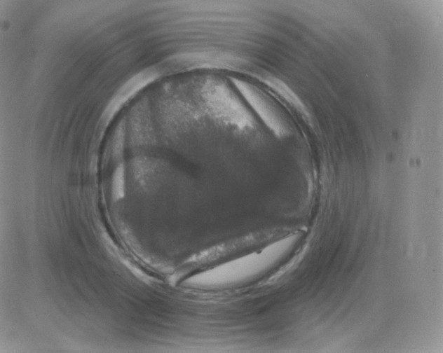 X0000083050790200702231954