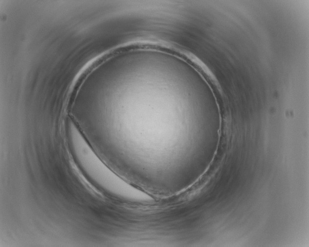 X0000083050791200702231954