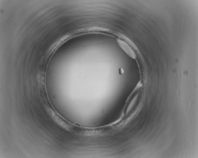 X0000083050793200702231954