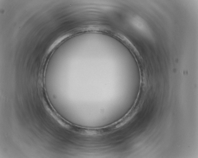 X0000083050794200702231954