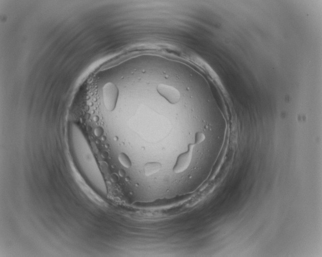 X0000083050795200702231954