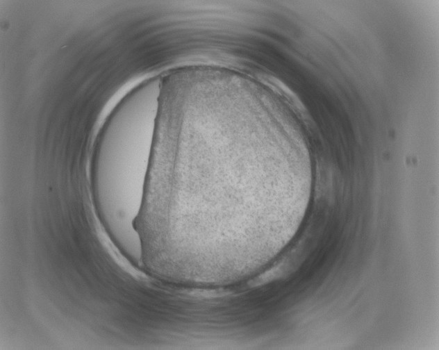 X0000083050796200702231954