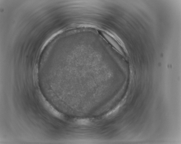 X0000083050798200702231954